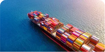 Binational experience